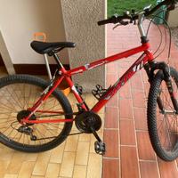 Bicicletta per bambino
