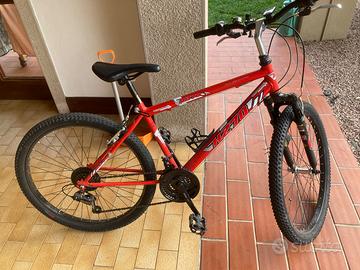 Bicicletta per bambino