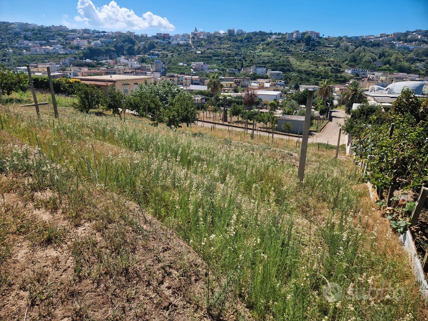 Terreno agricolo panoramico-753 mq- bacoli - Vista 4