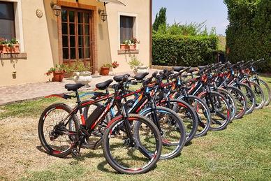 E-BIKE 26” 250W NUOVE –  10 in blocco