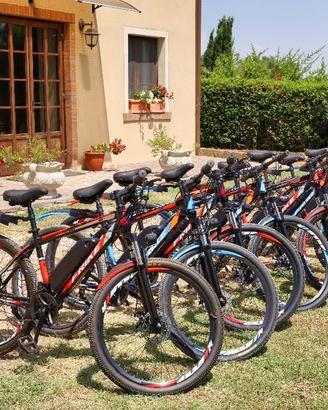 E-BIKE 26” 250W NUOVE –  10 in blocco