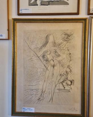 Salvador Dali venus de constellacion firmata 28/75