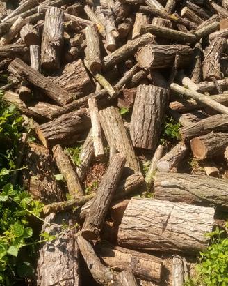 legna da ardere Tutta Gagia.... 