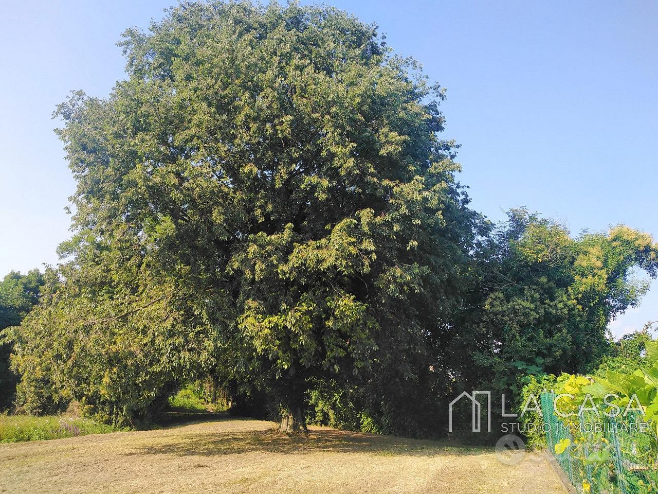 Terreno a San Giorgio della Richinvelda (PN) - Vista 3