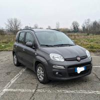 Fiat Panda grigia 2017 benzina 33699km 51kw