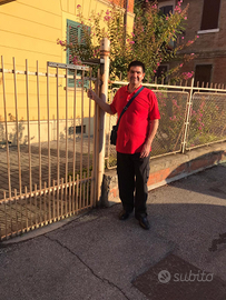 Lavoro accompagnatore