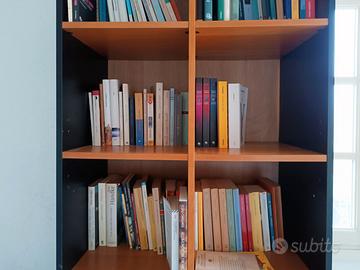 Libreria verticale