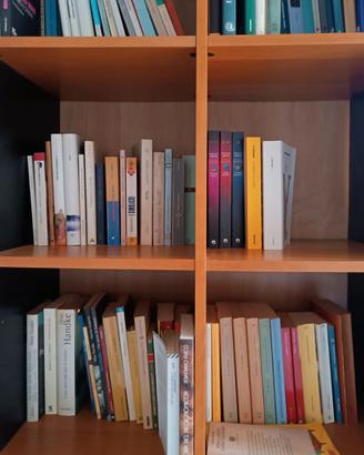 Libreria verticale