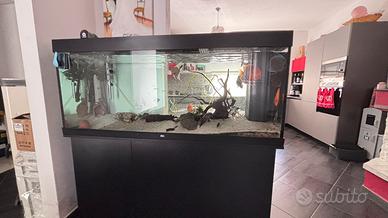 Acquario 450 litri