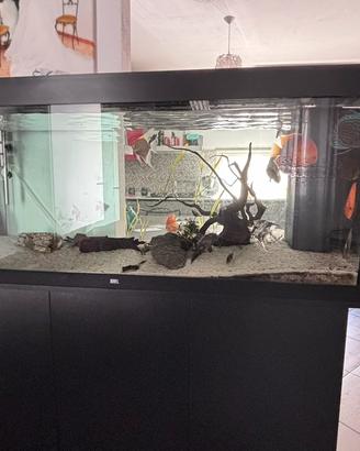 Acquario 450 litri