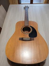 chitarra Norman