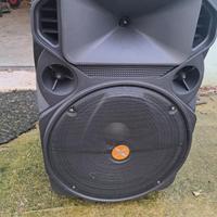 cassa musicale bluetooth