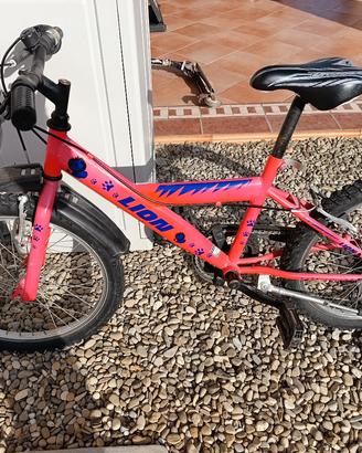 Mountain Bike bambino 4/7 anni ruote del 20
