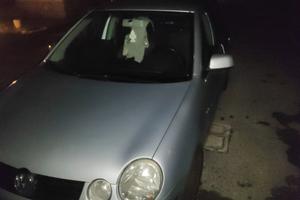 Volkswagen Polo 1.2 benzina