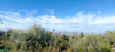 Terreno Agricolo Santa Maria di Licodia