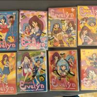 DVD Evelyn e la magia di un sogno