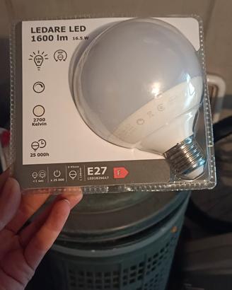 lampadina 