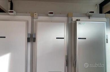 Frigorifero professionale con congelatore