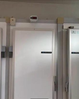 Frigorifero professionale con congelatore