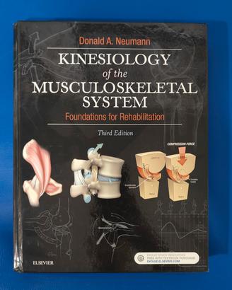 Kinesiology of the Muscollskeletal System