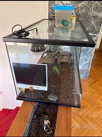Terrario