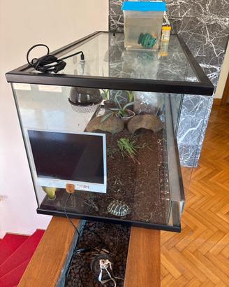 Terrario
