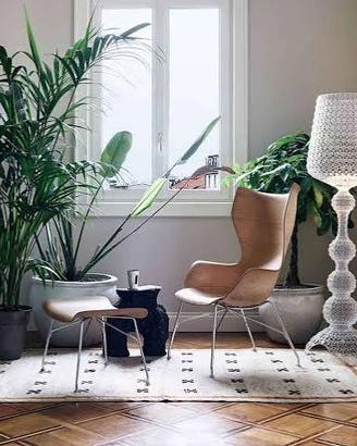 Kartell Wood Nuove SvendiamoPrezzoStock