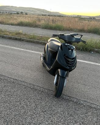 zip sp 50