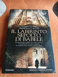 Libro "Il labirinto sepolto di Babele"