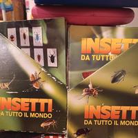 Insetti da tutto il mondo