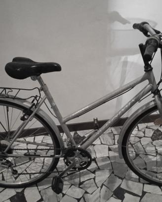 City bike mod 28 con 18 rapporti