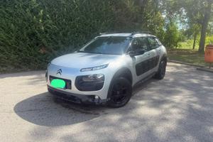 C4 cactus adatta a neopatentati
