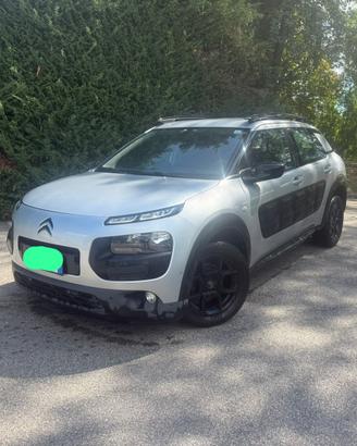 C4 cactus adatta a neopatentati