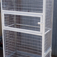 Petauro dello zucchero con voliera