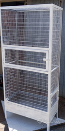 Petauro dello zucchero con voliera