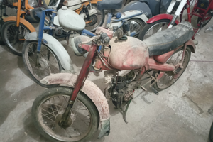 Motom 48 junior sport