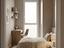 Immagine 12