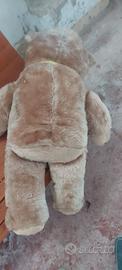 Peluche