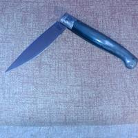 Sardo manico di qualità