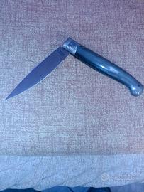 Sardo manico di qualità