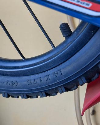 bicicletta bambino raggio 14