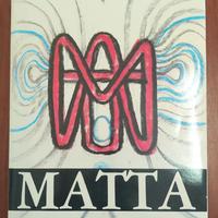 G.Ferrari Matta morfologie