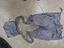 Immagine 2