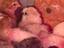 Immagine 6