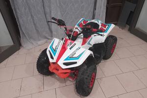 quad lem 110