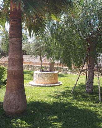 Sicilia Marzamemi