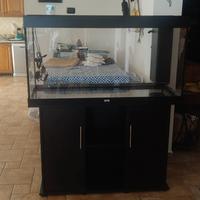 acquario Juwel RIO 300