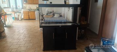 acquario Juwel RIO 300