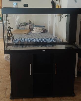 acquario Juwel RIO 300