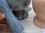 Immagine 2